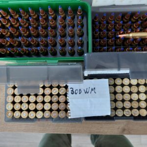 Riffilskot .300 Win Mag