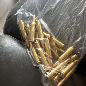 Skot í 95 gr kúla i 243 20 stk heimalhlaðið