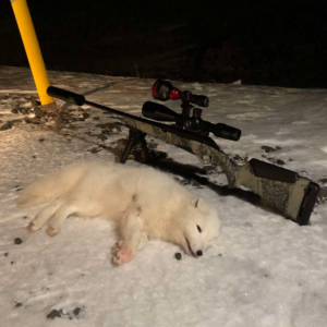 Benelli Lupo 6.5 Creedmoor riffill