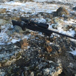 Sig Sauer ssG 3000 .308 Win riffill