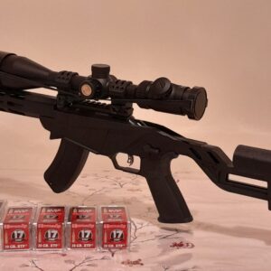 Ruger Precision BX 15 Magnum rimfire