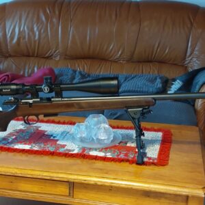 Cz 17hmr