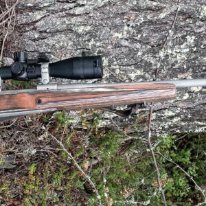 Ruger m77