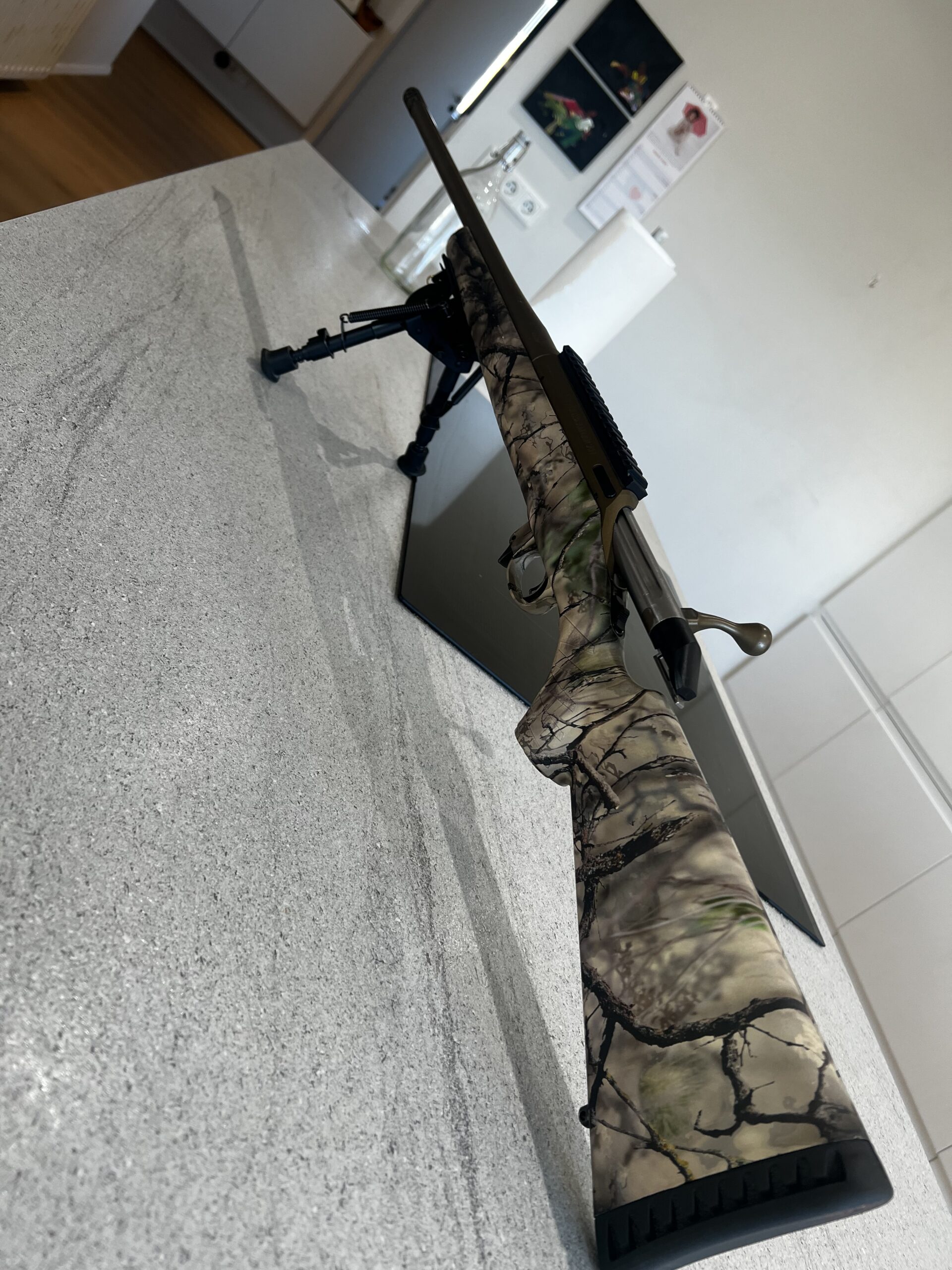 Ruger American 6.5 creedmoor