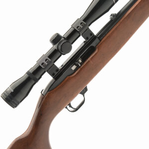 Ruger 10/22 with Scope and Mounts