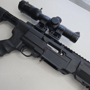 Ruger 10/22