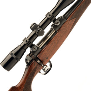 Ruger 10/22 with scope and mounts