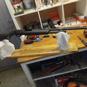 Stoeger p350