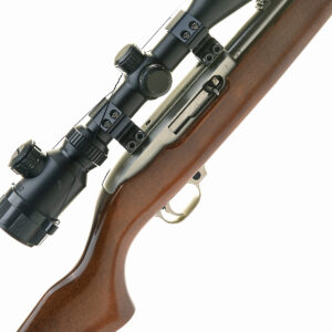 Ruger 10/22 Stainless Steel 22lr