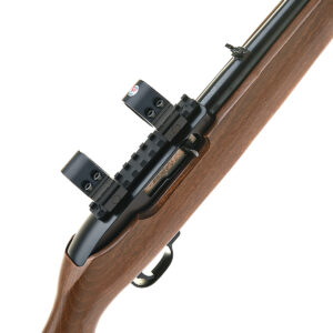 Ruger 10/22 22lr
