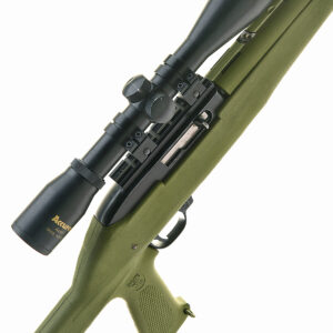 Ruger 10/22 custom