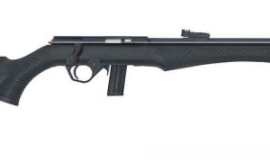 Rossi 8122 22LR