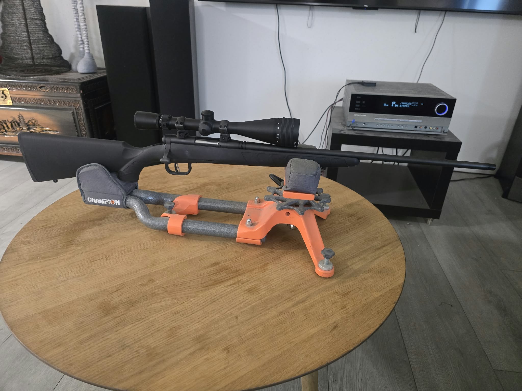 Savage .17 HMR riffill