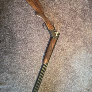 Sauer Artemis 12 Gauge haglabyssa