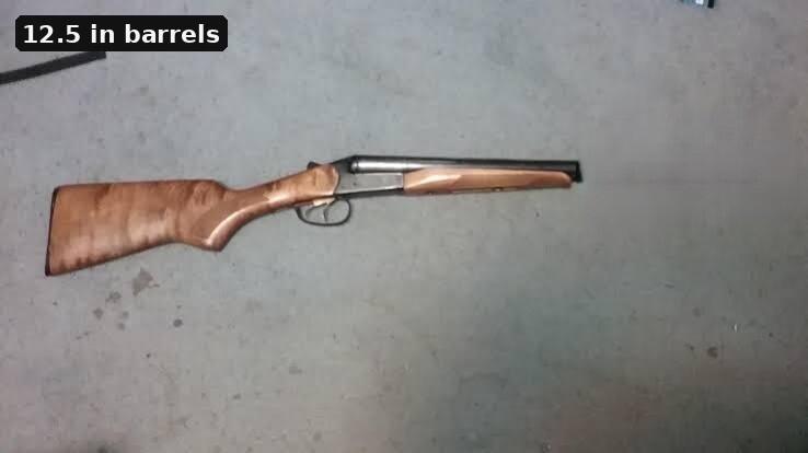 Baikal Coach Gun -