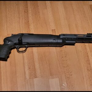 Blaser R8 Professional